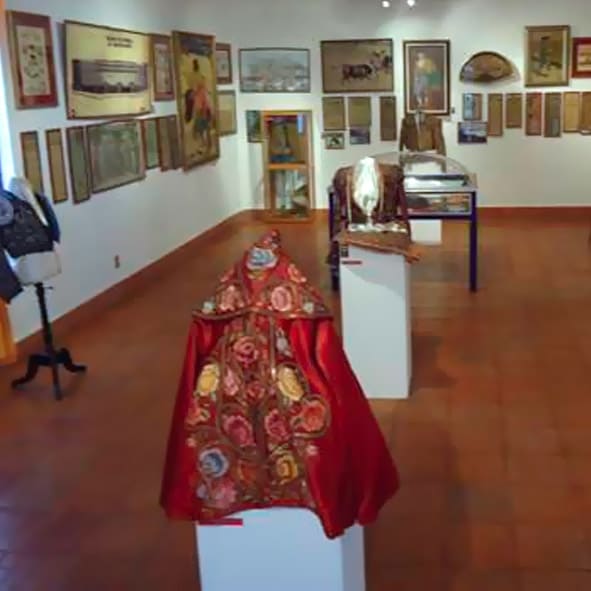 Museo Taurino Patio Domecq
